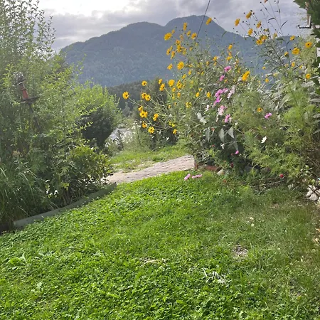 Διαμέρισμα Am Jodlerweg Bad Ischl