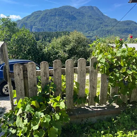 Appartement Am Jodlerweg Bad Ischl