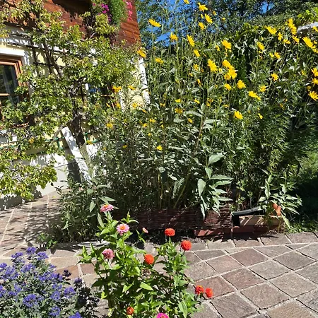 Am Jodlerweg Appartement *