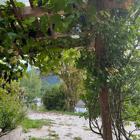 Am Jodlerweg 巴德伊舍